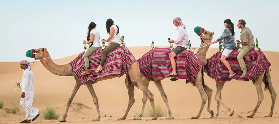 Private Safari Without Dune Bashing -2